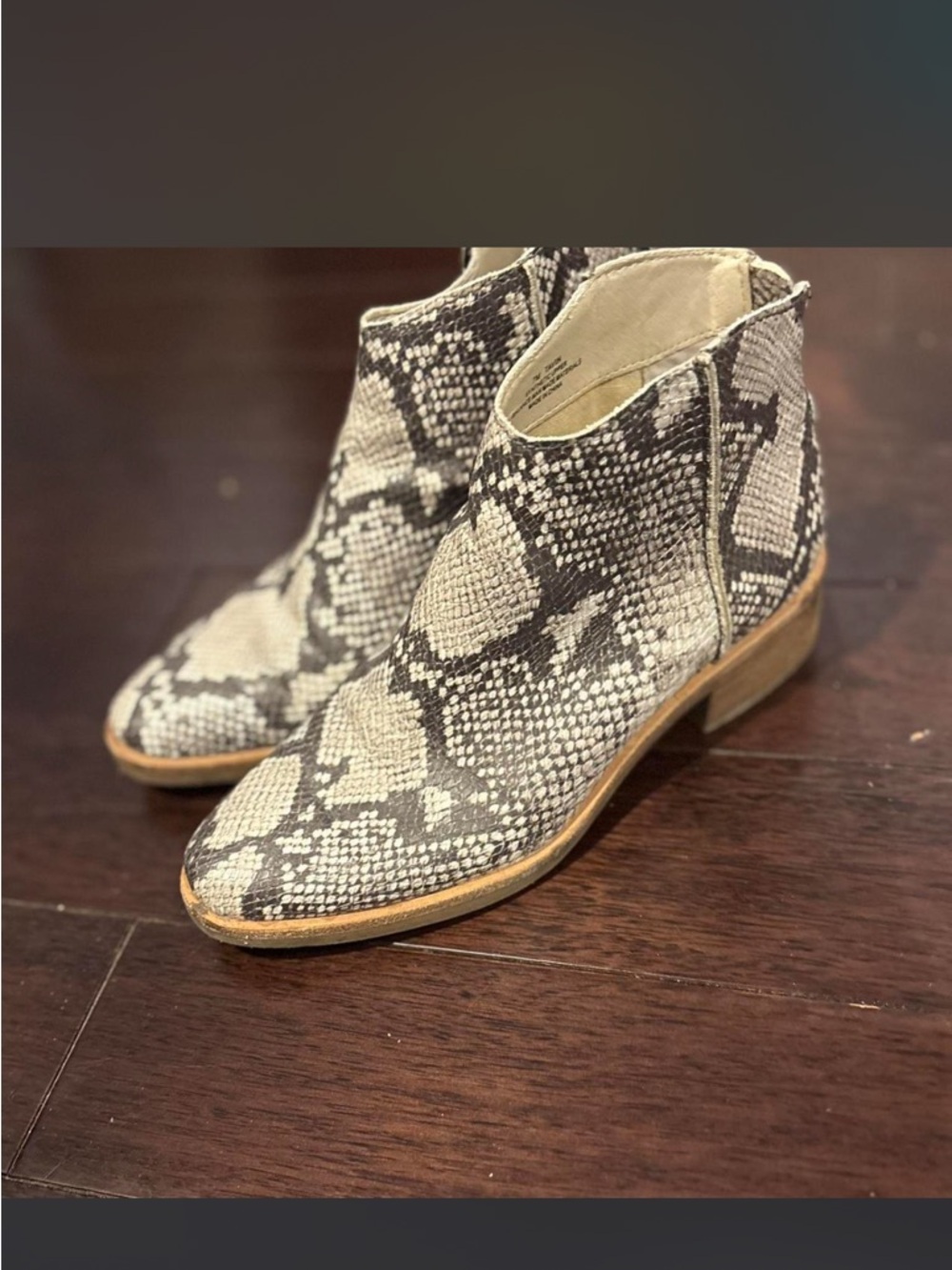 Dolce Vita Snake-Print Ankle Booties in Black and Cream